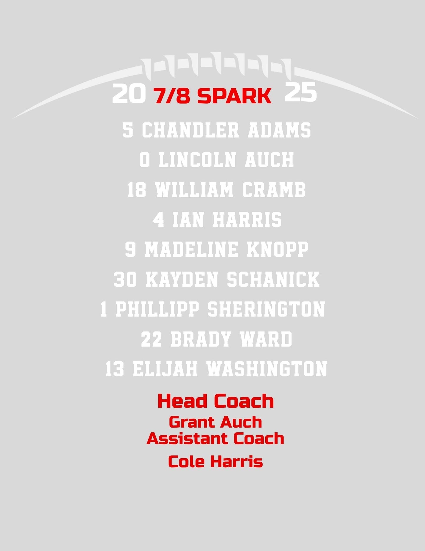 SWARTZ CREEK FLAG 7/8